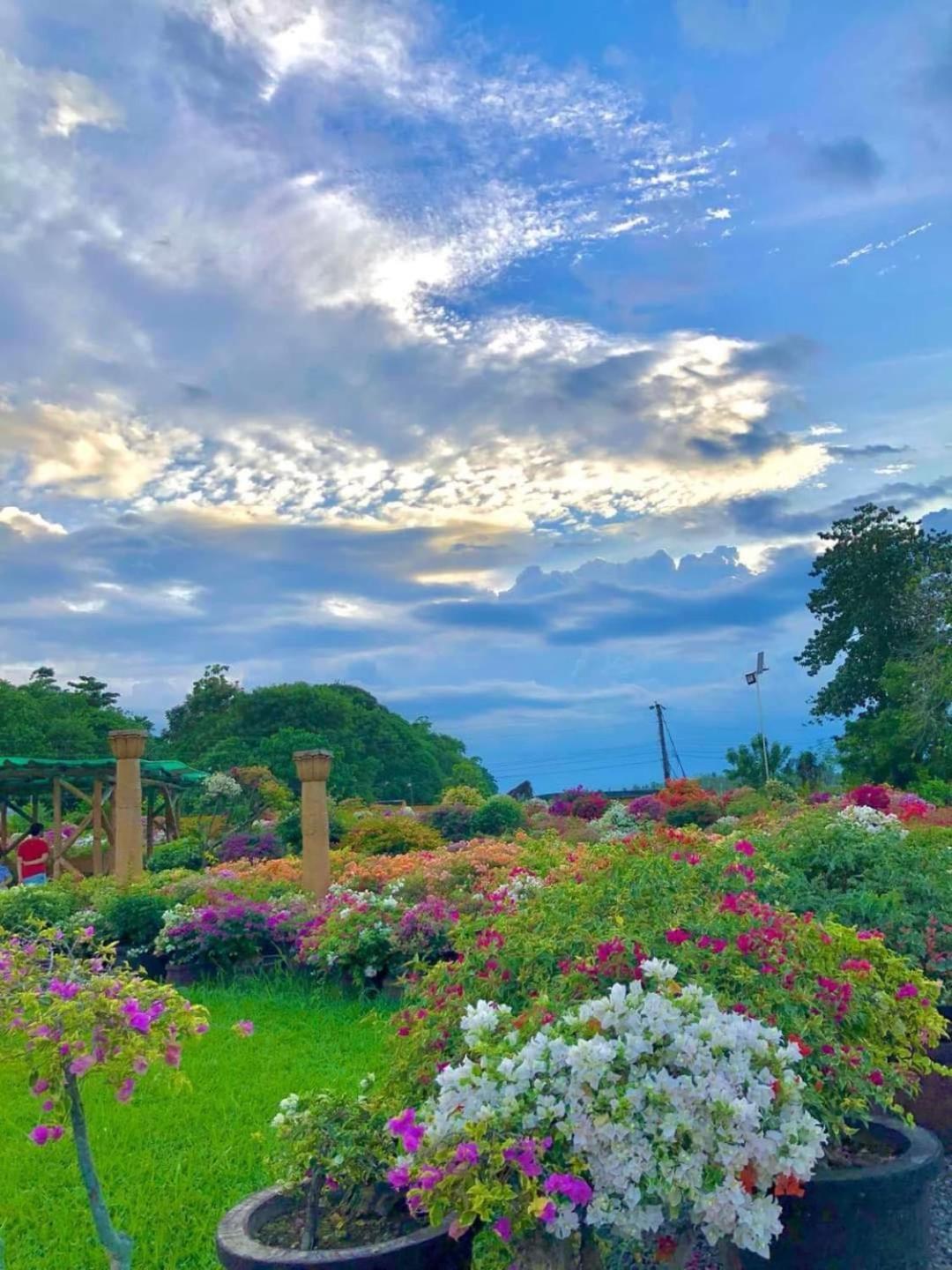 Beach Resorts Walking Distance To The Town House Davao City Eksteriør bilde